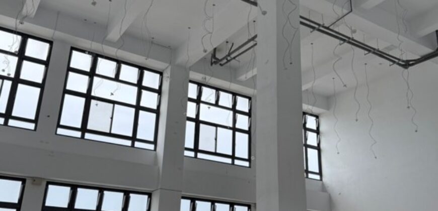 B06800 租~新莊全新企業總部