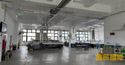 B06800 租~新莊全新企業總部