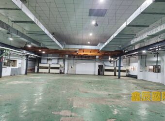 B06812 租~中壢鋼構廠