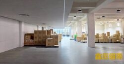 B06818 租~新北產業園區挑高廠辦