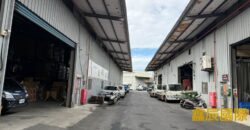 B06830 租~五股挑高鋼構廠