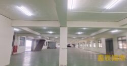 B06831 租~土城獨棟廠房