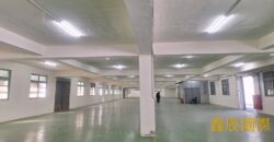 B06831 租~土城獨棟廠房