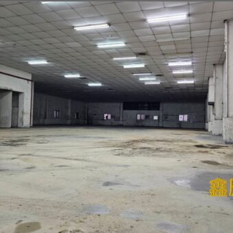 B06855 租~新北產業園區鋼構