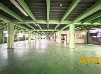 B06856 租~蘆洲鋼構廠