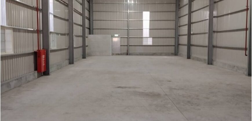 B06858 租~樹林鋼構挑高廠