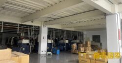 B06881 租~八德獨立廠房