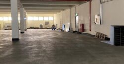 B06882 租~觀音工業廠房