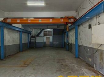 B06888 租~樹林廠房