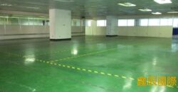 B06909 租~中和車位大廠辦