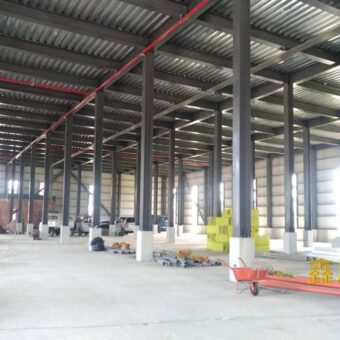 B06925 租~台北港挑高物流廠