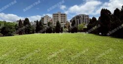 B06928 租~龜山氣派總部