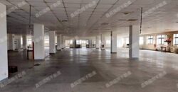 B06928 租~龜山氣派總部