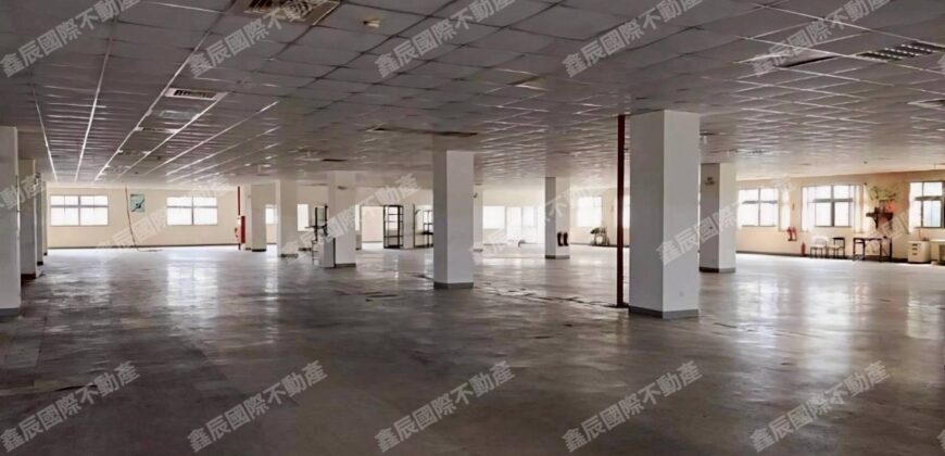 B06928 租~龜山氣派總部