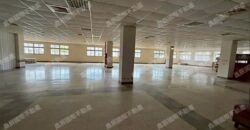 B06928 租~龜山氣派總部