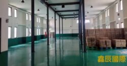 B06941 租~龜山獨棟挑高廠