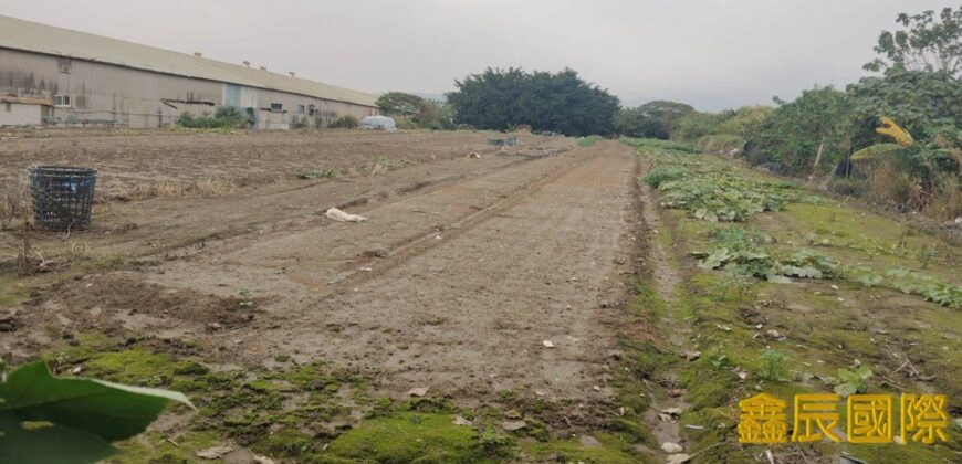 B06966 租~士林住宅區土地