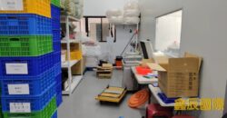 B06969 租~新北產業園區冷凍庫廠房