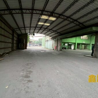 B06975 租~樹林廠房