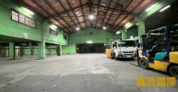 B06974 租~樹林廠房