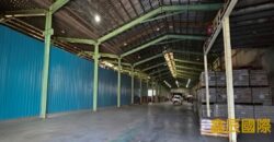 B06990 租~蘆竹挑高方正廠房