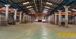 B06991 租~龜山獨立挑高大腹地廠房