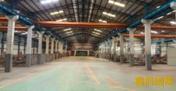 B06991 租~龜山獨立挑高大腹地廠房