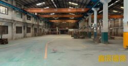 B06991 租~龜山獨立挑高大腹地廠房