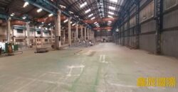 B06991 租~龜山獨立挑高大腹地廠房