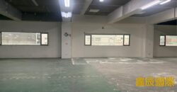 B07048 租~新北產業園區廠房