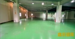 B07051 租~新莊高載重廠房