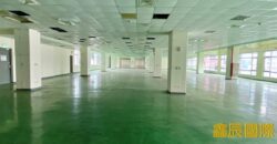 B07071 租~板橋大型廠辦(房)
