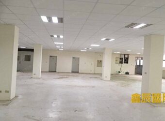 B07092 新店廠辦I