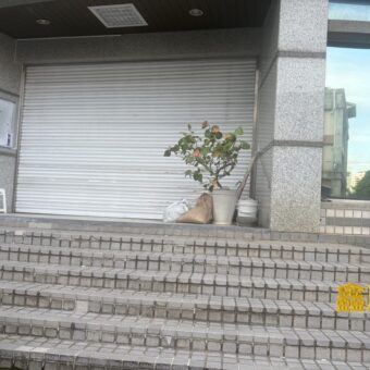 B07103 租~新北產業園區廠房