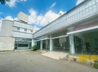 B07114 租~中壢省道店面