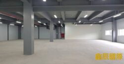B07119 租~大園挑高臨路廠房