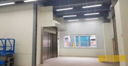 B07119 租~大園挑高臨路廠房