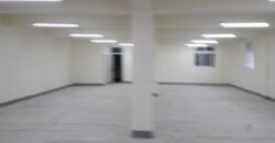 B07126 租~土城透天廠