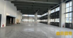 B07182 租~新莊全新廠辦
