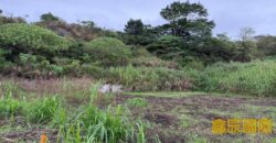 A7578 售~鶯歌農地