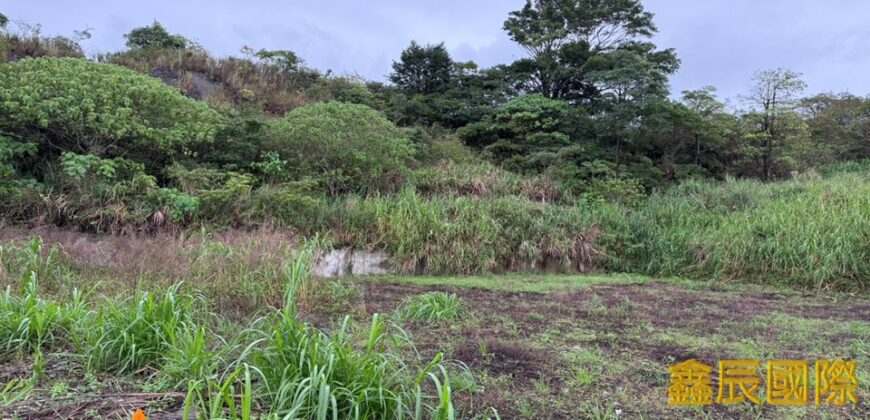 A7578 售~鶯歌農地