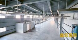 A7582 售~樹林鋼構廠