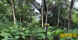 A7590 售~樹林工業地