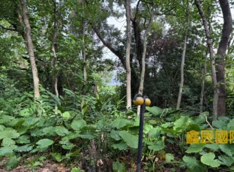 A7590 售~樹林工業地