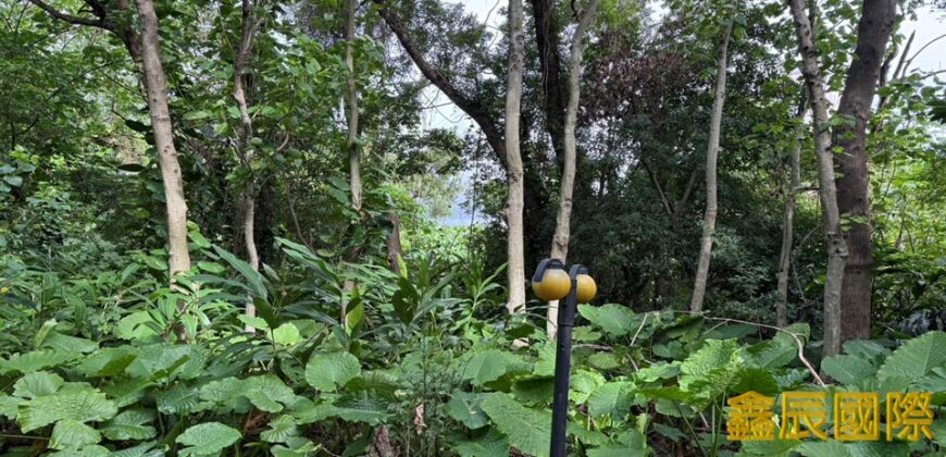 A7590 售~樹林工業地