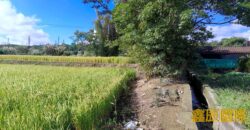 A7593 售~大溪農地(A)