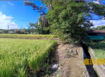 A7593 售~大溪農地(A)