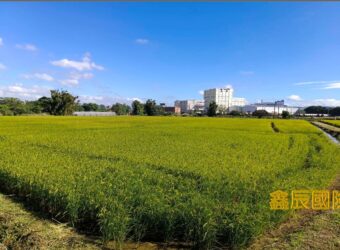 A7595 售~大溪農地(C)