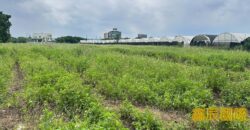 A7602 售~桃園高鐵交通用地