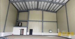 A7605 售~蘆竹全新挑高鋼構廠